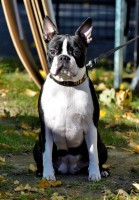 /album/lilinka-18-mesicu/a73097875-2506702856110514-7500189384847654912-n-jpg1/