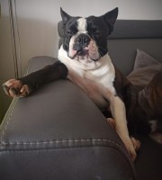 /album/lilinka-18-mesicu/161709655-10217162739331646-1447453425972903213-n-jpg/