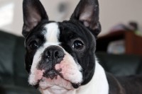 /album/lilinka-18-mesicu/235783692-6083653648374672-7889802865138374803-n-jpg/