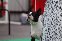 /album/lilinka-18-mesicu/238772504-1169049790254320-3576928311709557889-n-jpg/