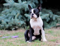 /album/lilinka-18-mesicu/239190476-347702290231998-207085554870062366-n-jpg/