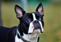 /album/lilinecka/67157541-2329139847139075-2093878131113852928-n-jpg/