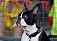 /album/lilinecka/67295560-2329139350472458-4120959084004376576-n-jpg/