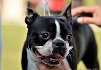 /album/lilinecka/67287692-2329140173805709-7737441166370537472-n-jpg/