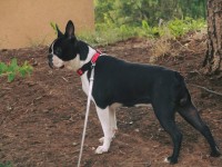 /album/lilinecka/80977895-2644948198891570-3483284945969872896-n-jpg/