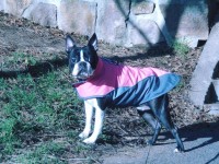 /album/lilinecka/80987211-2644941152225608-16604953451692032-n-jpg/