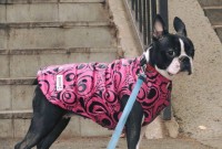 /album/lilinecka/81193402-2644944838891906-5505498657236975616-n-jpg/