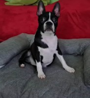 /album/fotogalerie-vrh-b/332842815-531435489105189-5233880393054534946-n-jpg/